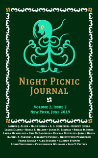 Night Picnic Journal Cover