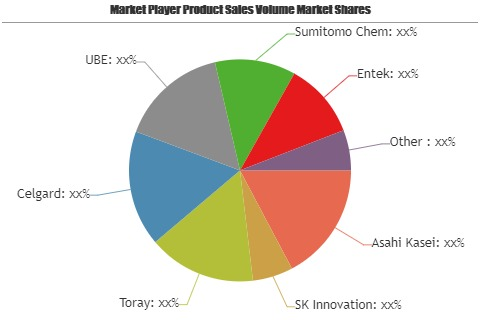 Lithium Ion Secondary Battery Separator Market'