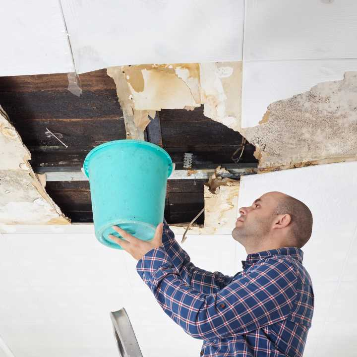 Water Damage Services'