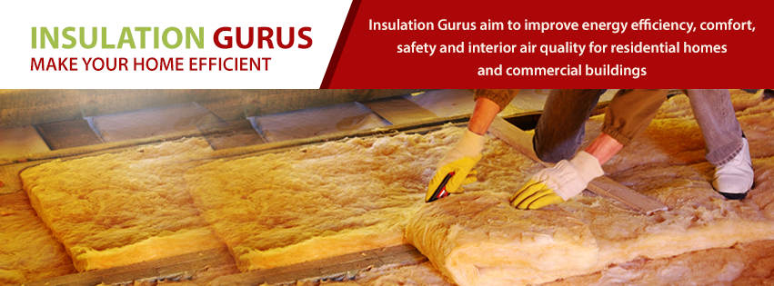 Company Logo For Insulation Gurus Inc'