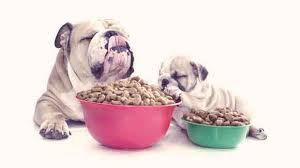 Animal &amp; Pet Food Flavors Market'