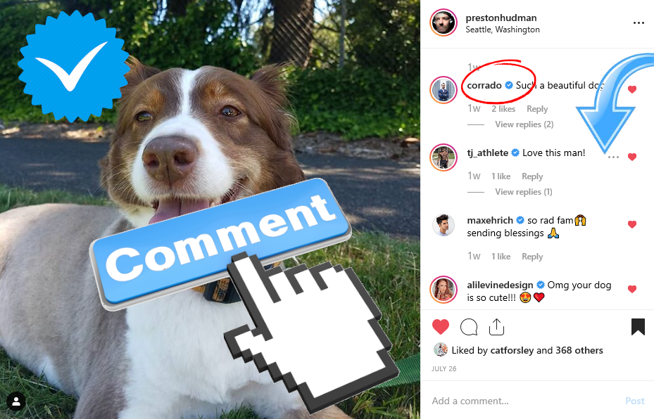 blue check comments