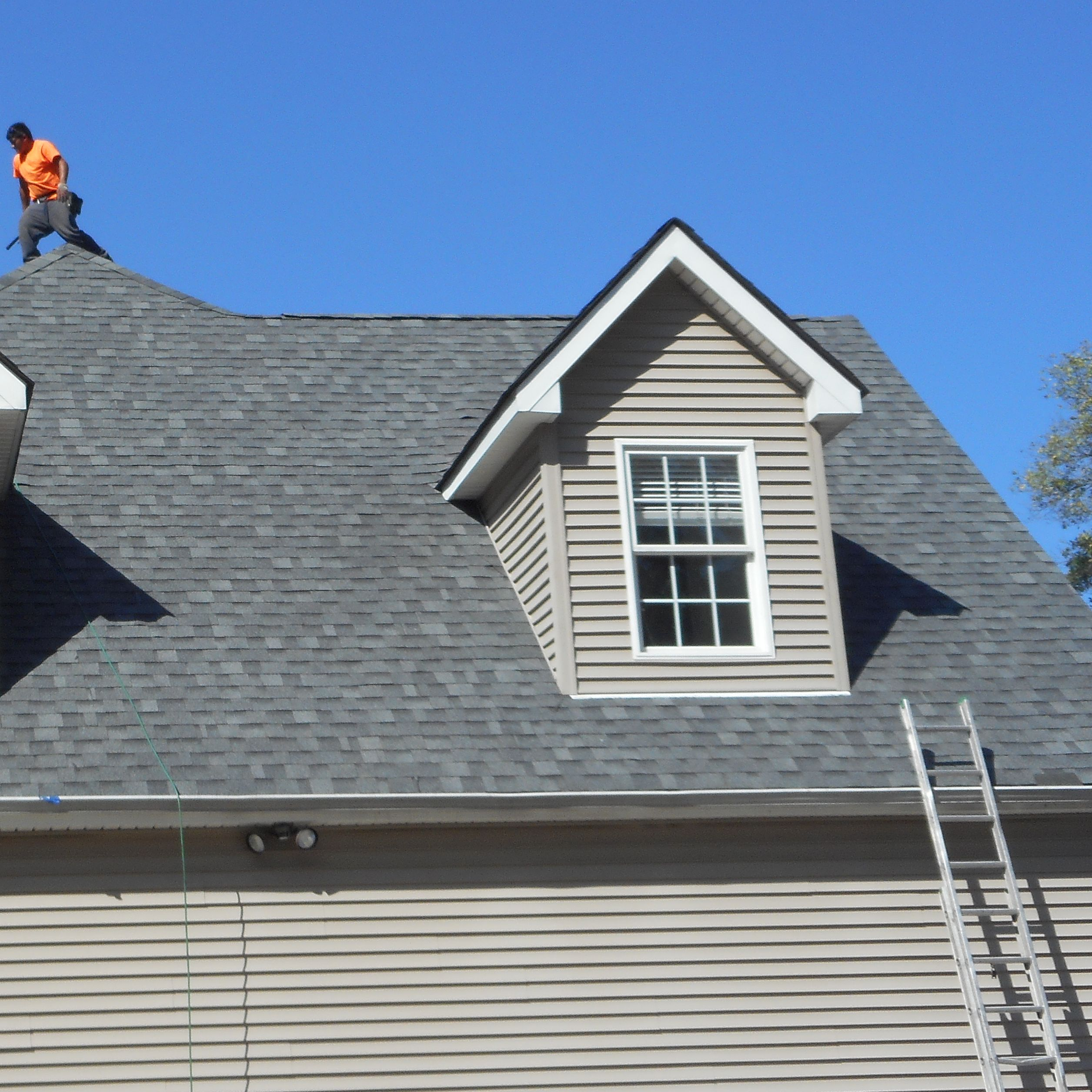 Shingle Roofing'