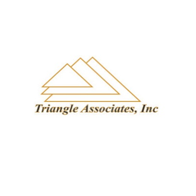 Company Logo For Triangle Associates Inc'