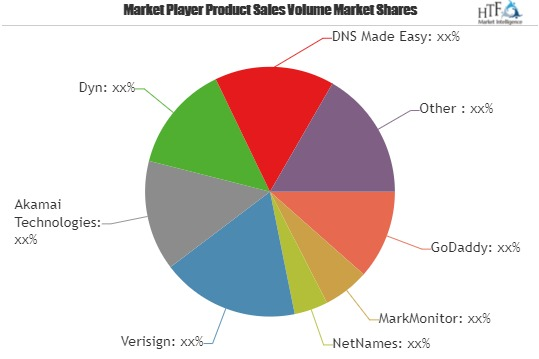 Domain Name System Service Market