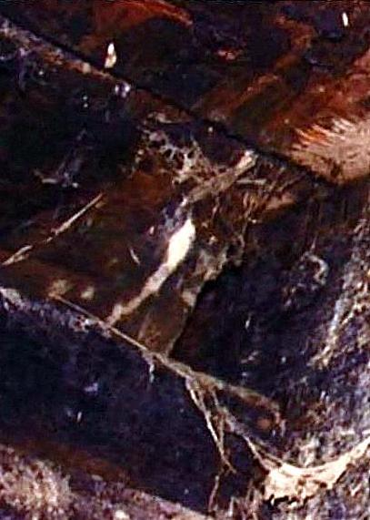 Dr. Joel Klenck: Pitch coating, Locus 7, Area A, Noah's Ark