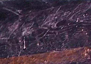 Dr. Joel Klenck: Pitch sealant, Locus 5, Area A, Noah's Ark'
