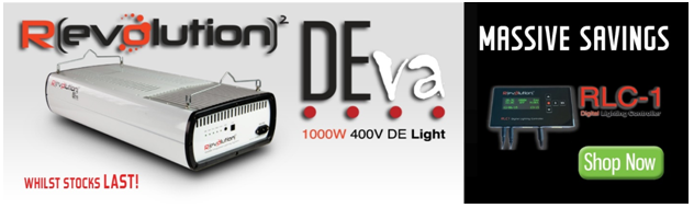 Green Spirit Hydroponics