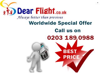 Flights Information to Miami Travel'
