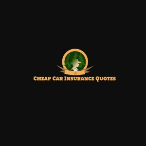 Company Logo For Low-Cost Car Insurance Virginia Beach'