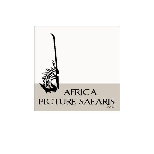 Company Logo For Africa Picture Safaris'