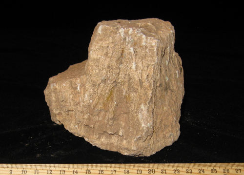 Dr. Joel Klenck: Limestone artifact, Locus 4, Noah's Ark'