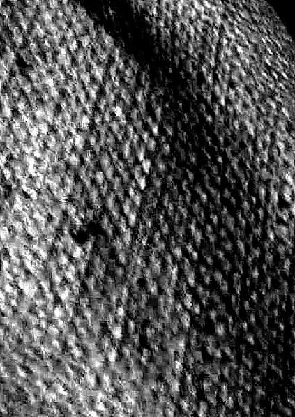 Joel Klenck: Wool fabric (Artifact 7), Area C, Cave Site.'