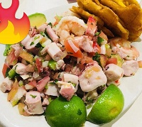 El Rincon de Bianca Logo