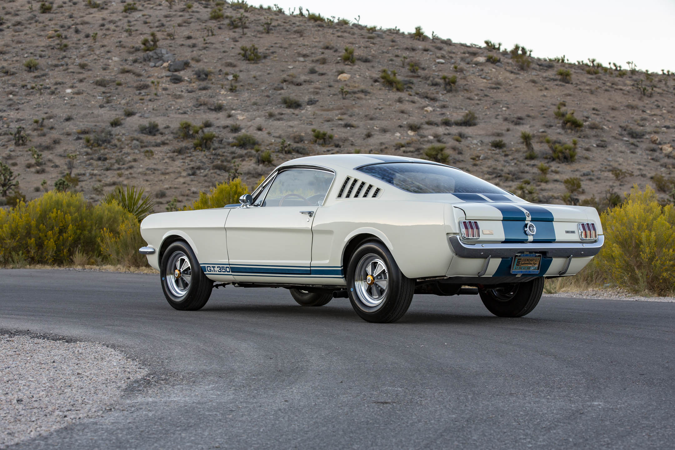 Shelby 1965.4