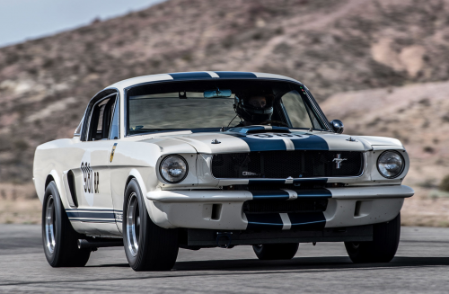 Shelby 1965.5'