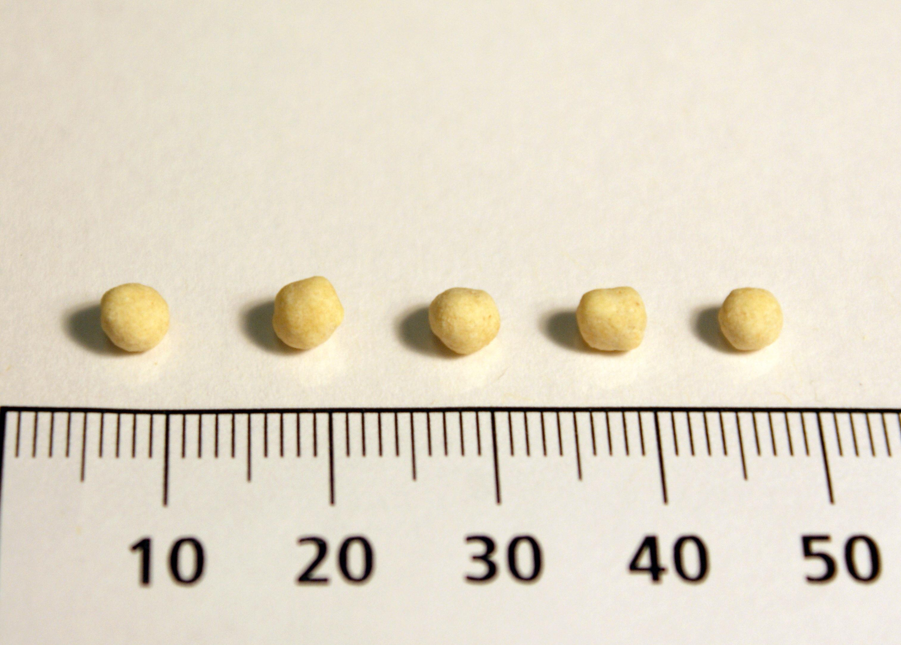 Joel Klenck: Chickpea seeds from Locus 3, Area A, Ark.'