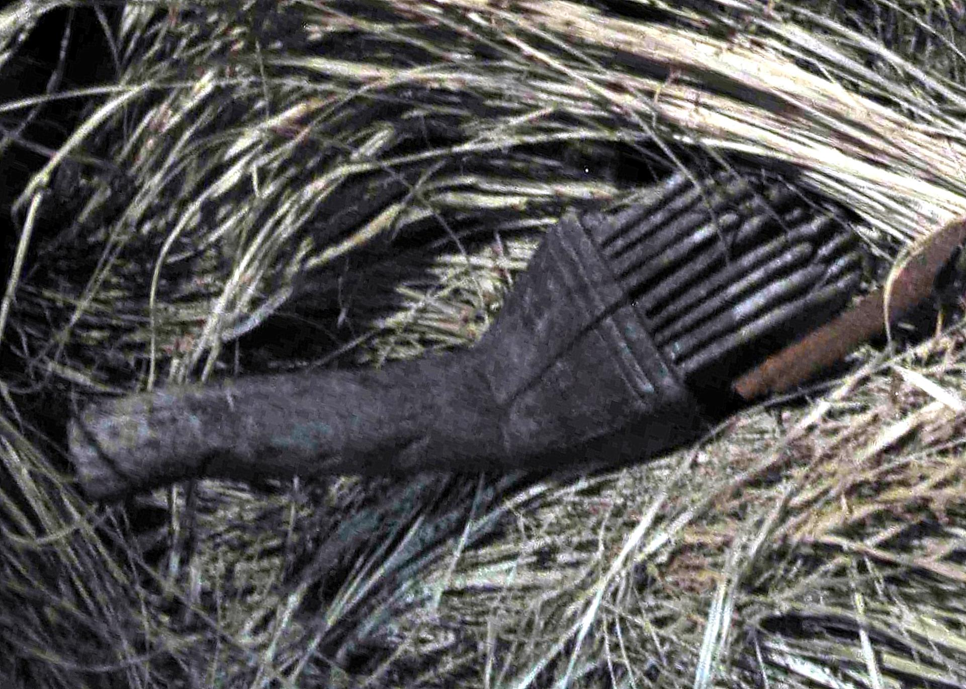 Joel Klenck: Bone tool, Artifact 10, Area C, Cave, Ararat.'