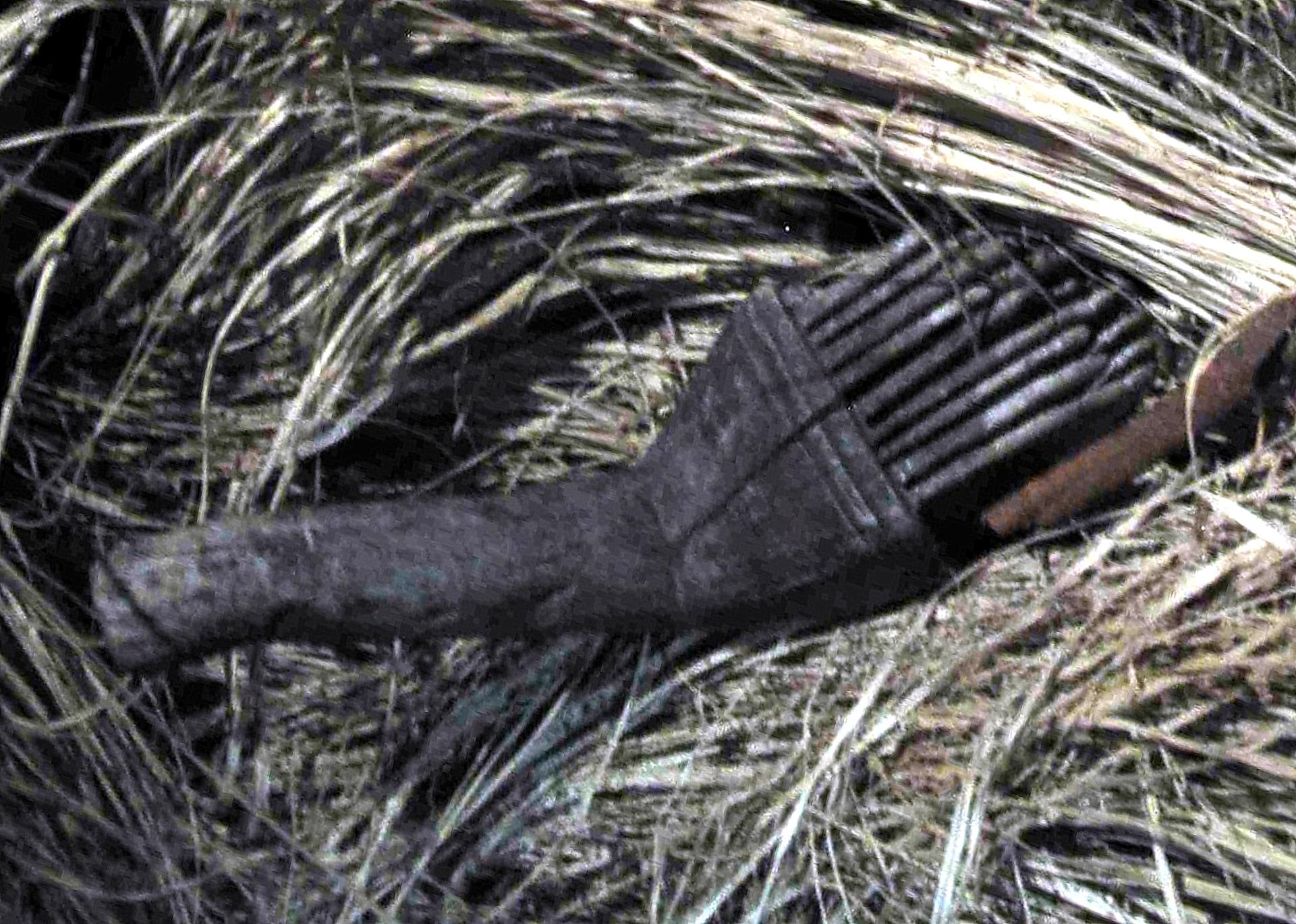 Joel Klenck: Bone tool, Artifact 10, Area C, Cave, Ararat.