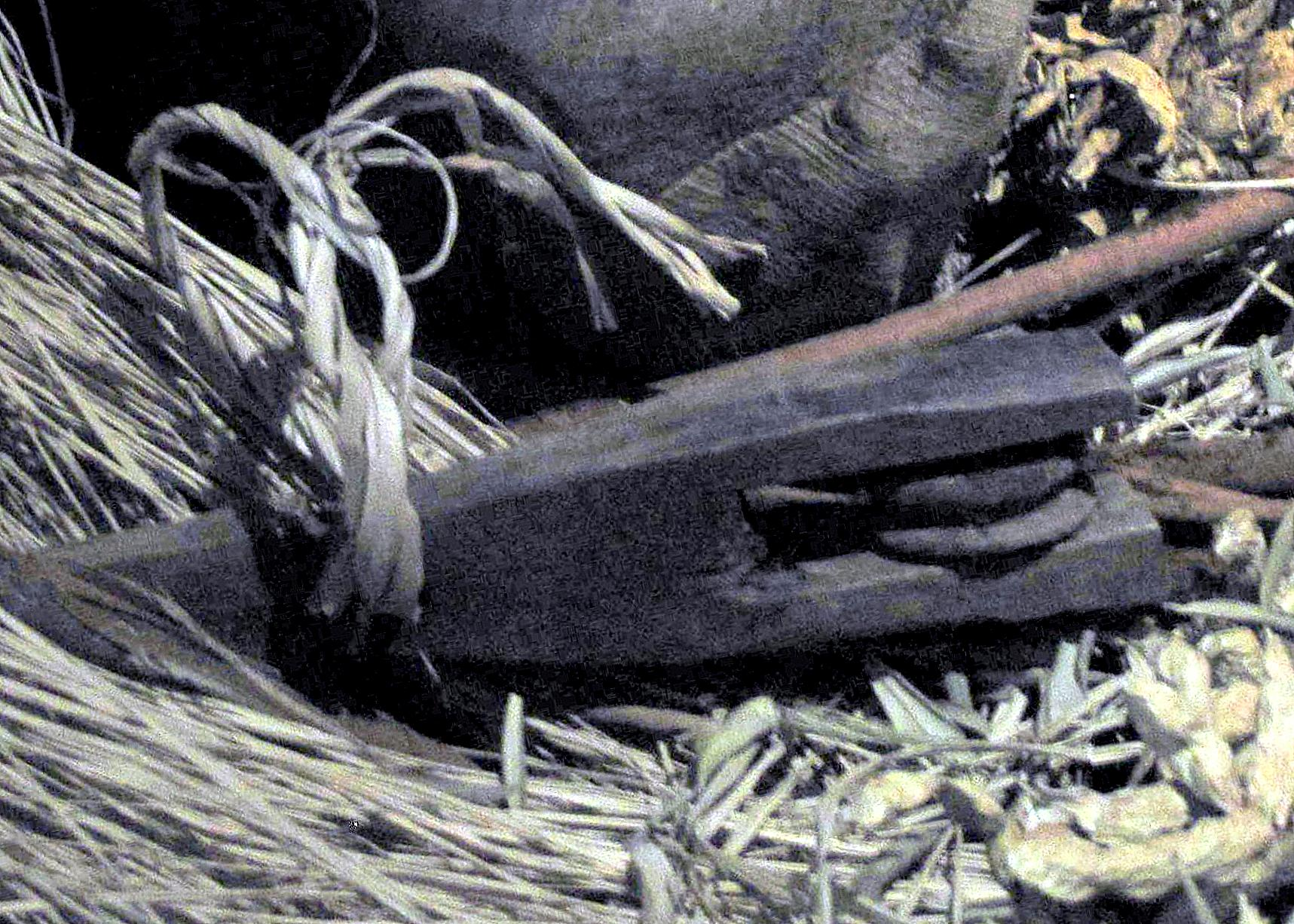 Joel Klenck: Wood artifact, Artifact 11, Ararat C, Ararat.