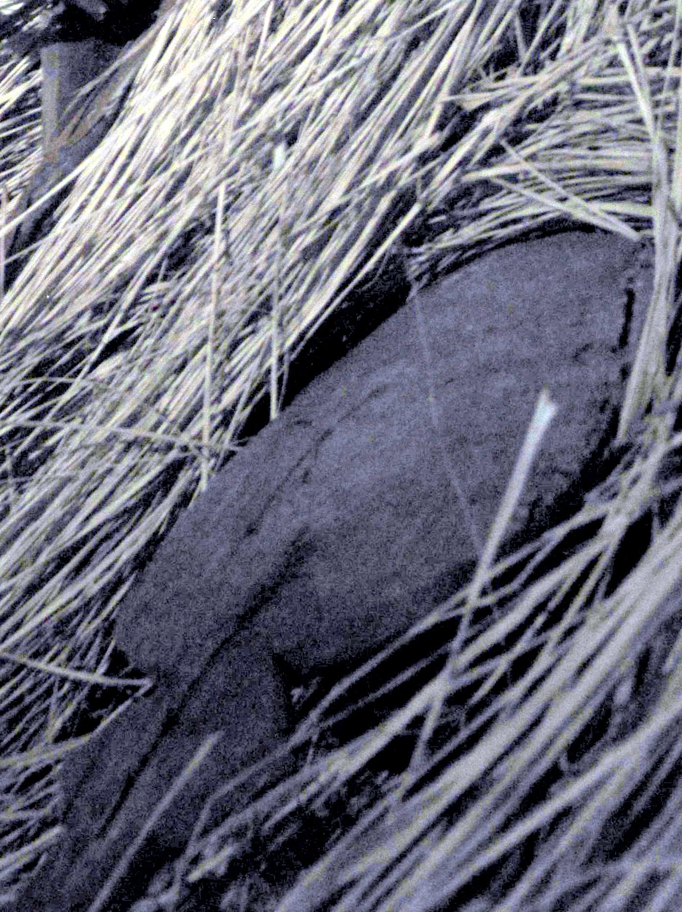 Joel Klenck: Wood artifact in cave site, Area C, Ararat.'