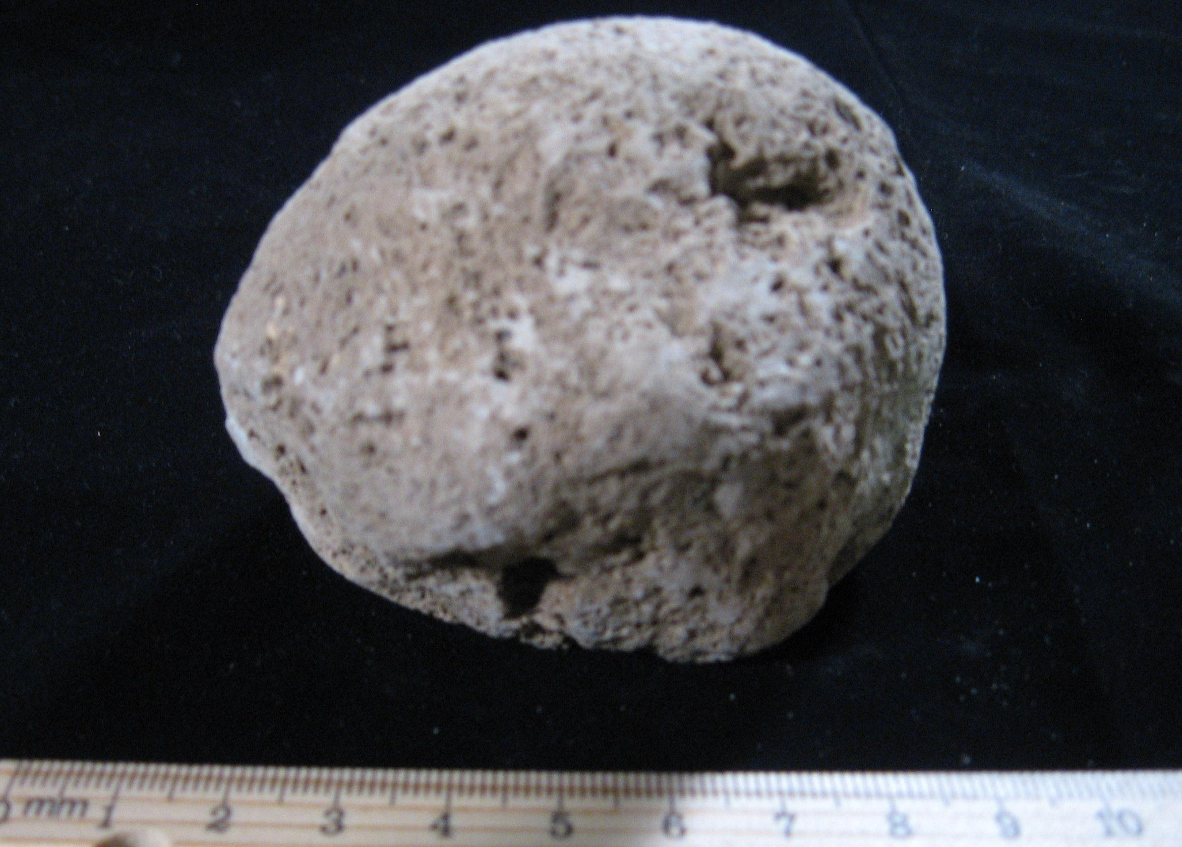 Joel Klenck: Pumice figure (Artifact 13, View B), Ark.