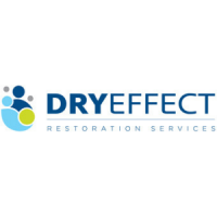 Dry Effect Logo