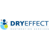 Company Logo For Dry Effect'