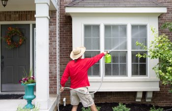 Pressure Washing'