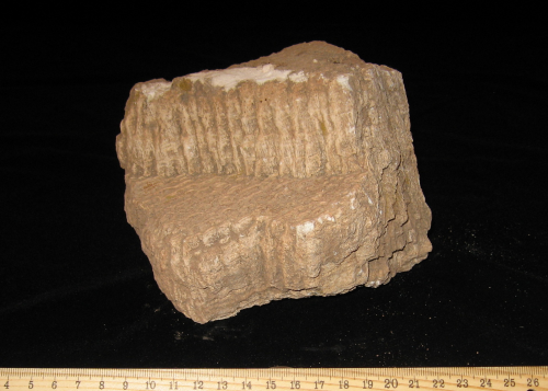 Joel Klenck: Limestone artifact (Artifact 12), Ark of Noah.'