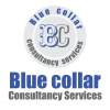 Company Logo For Blue Collar Consultancy'