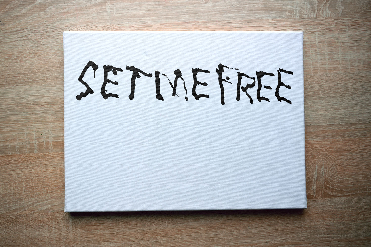 The elephant's final Set Me Free message.'