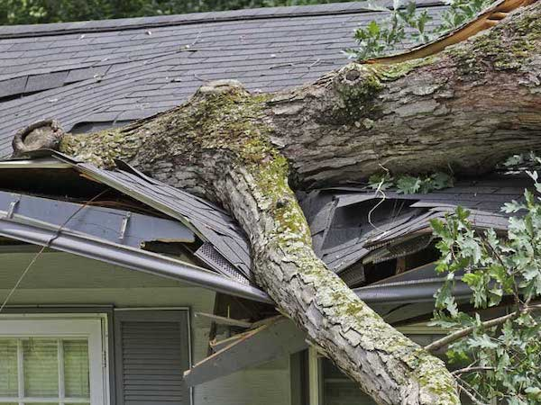 Roofing Company'
