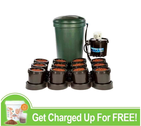 Green Spirit Hydroponics'