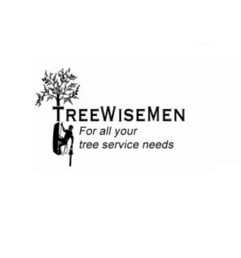 Company Logo For Treewisemen'