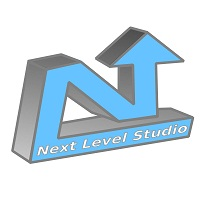 Company Logo For Next Level Studio'