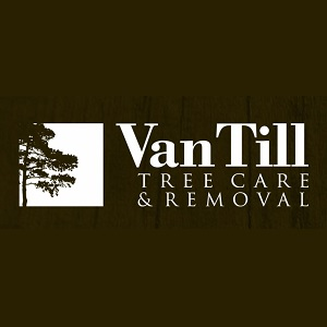 Company Logo For Van Till Tree Care'