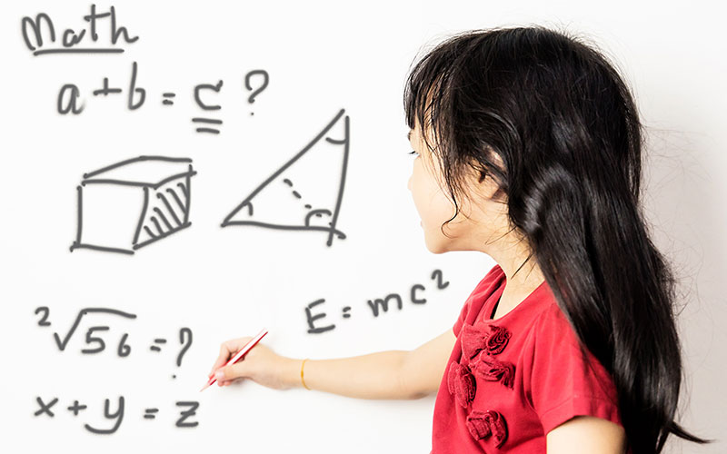 Primary School Maths Tuition'