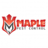 Bed Bugs Extermination Mississauga