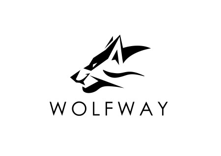 Wolfway Packable Backpack'