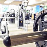 Free Weights'