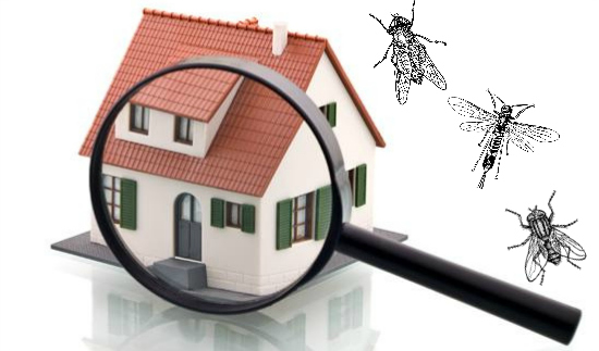 Company Logo For Pest Control Melbourne'