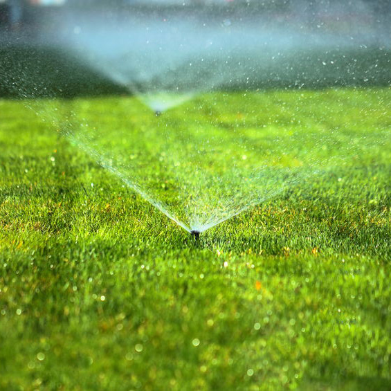 Landscaping Companies'
