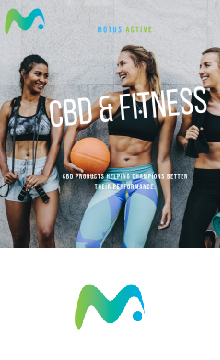 Company Logo For Holo Brands'