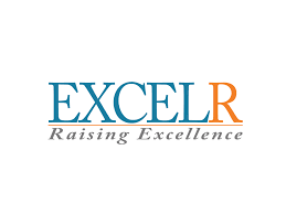 Company Logo For ExcelR Solutions'