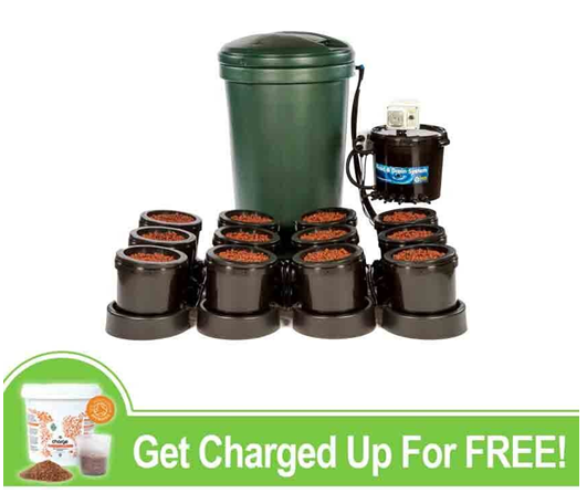 Green Spirit Hydroponics'