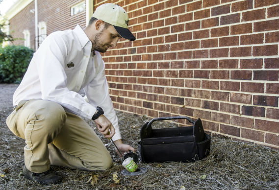 Bed Bug Exterminator'