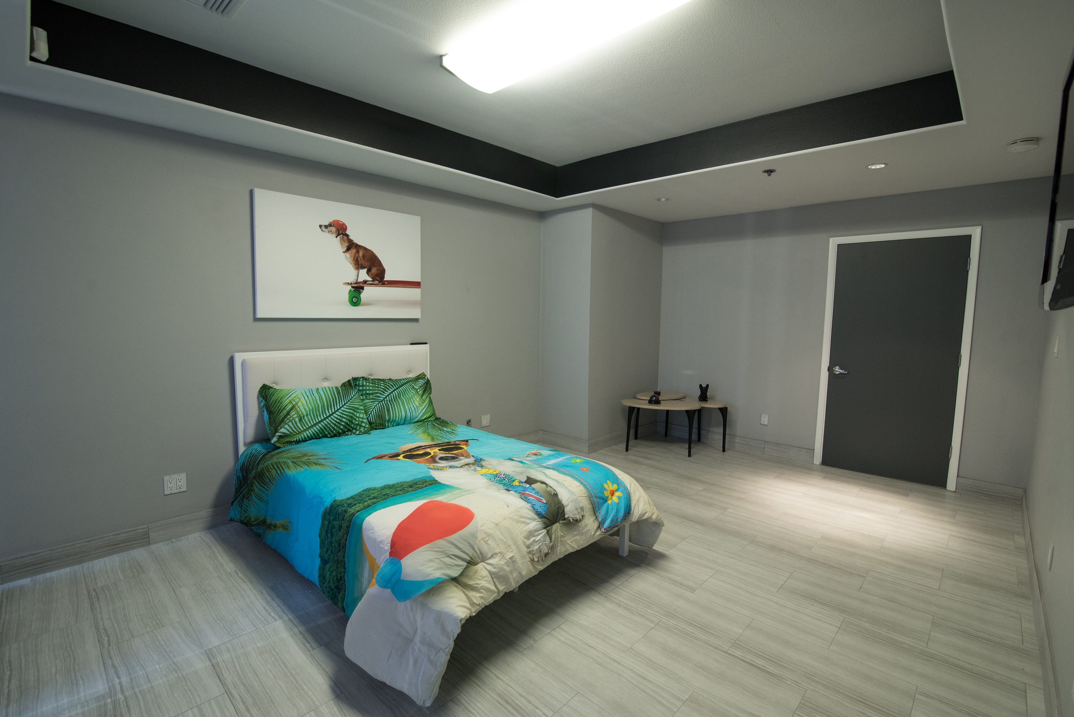 Overnight Dog Boarding Las Vegas'