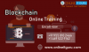 blockchain online training'