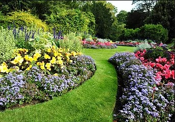 Landscape Construction Los Angeles'